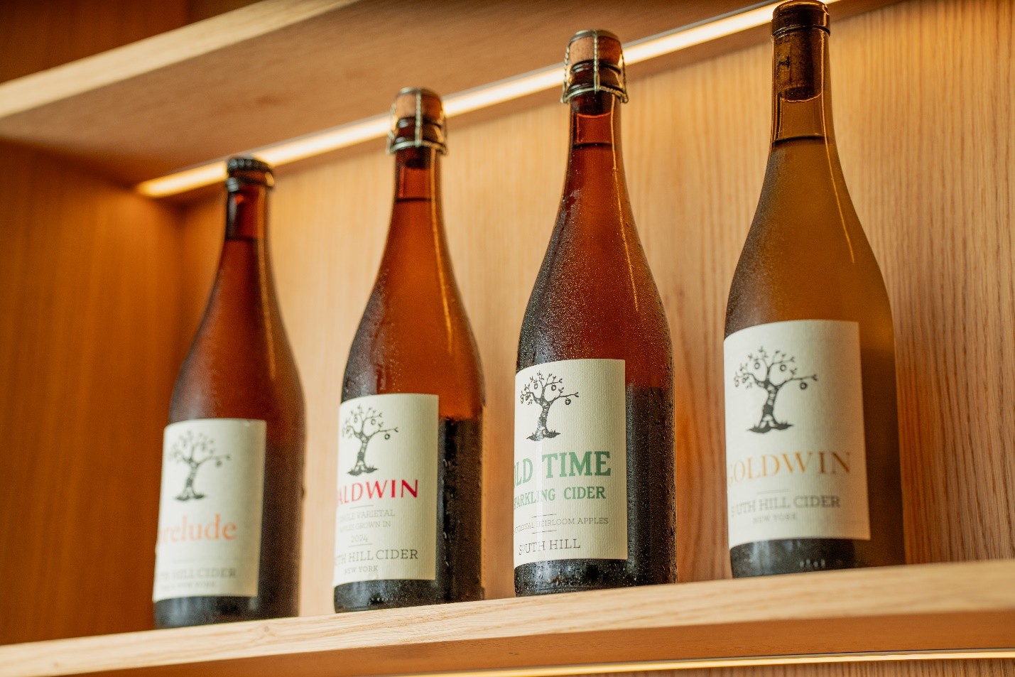 Guests enjoying Blu Tap Cider